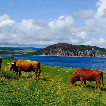 Rural Farmhouse On Kintyre, West Coast Hidden Gem Kildalloig ภายนอก รูปภาพ