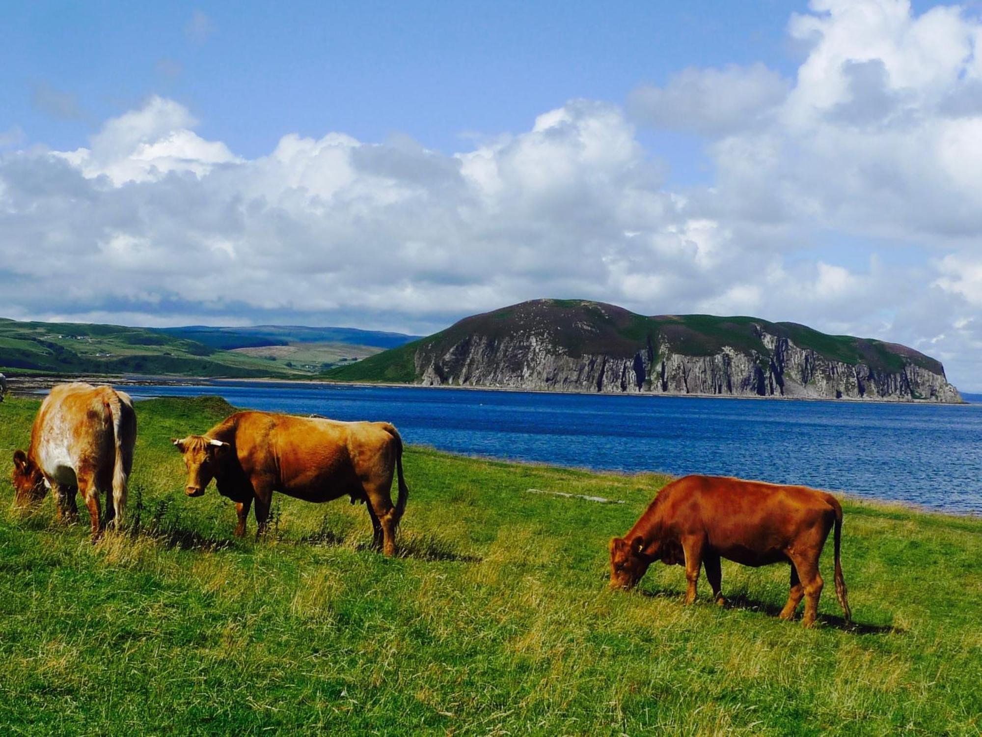 Rural Farmhouse On Kintyre, West Coast Hidden Gem Kildalloig ภายนอก รูปภาพ